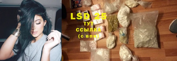 PSILOCYBIN Богородск