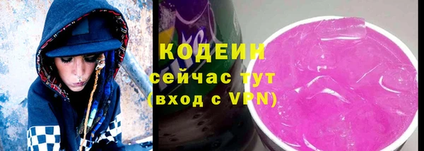 гашик Нягань