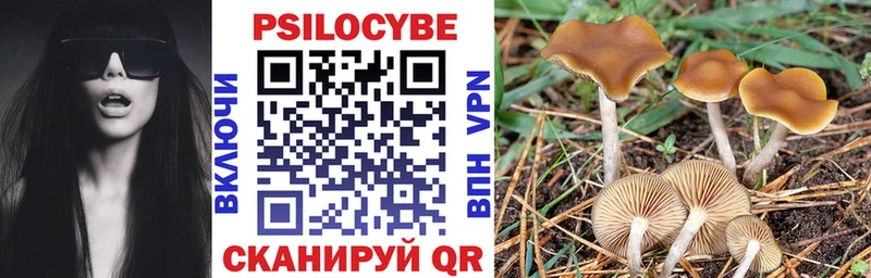 Псилоцибиновые грибы Psilocybe  Михайловка 